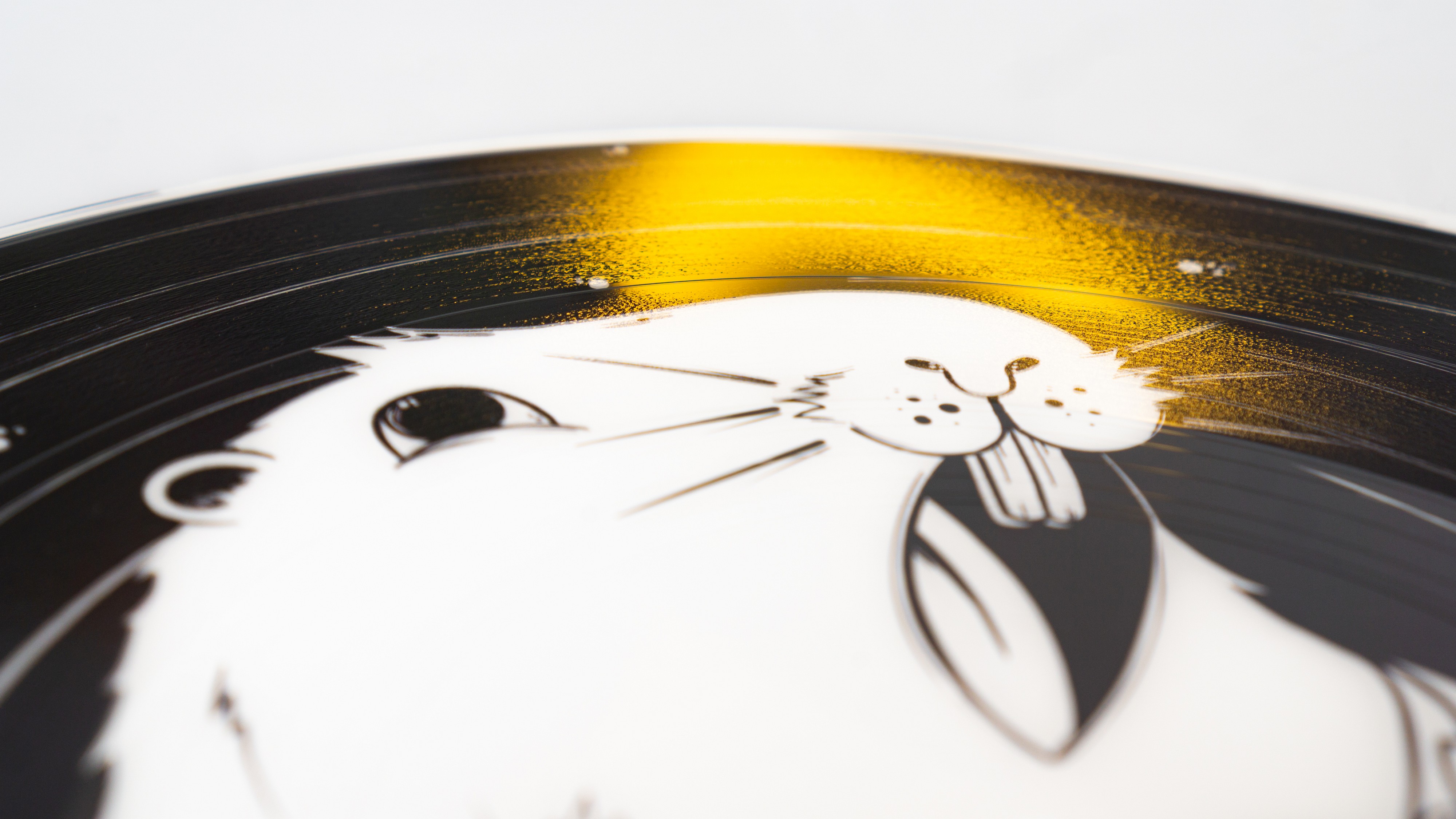 Picture Disc Detail